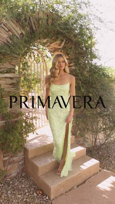 Primavera 3290